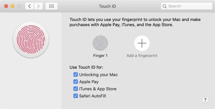 macOS 10.14.4 Beta Touch ID Einstellungen für Autofill in Safari