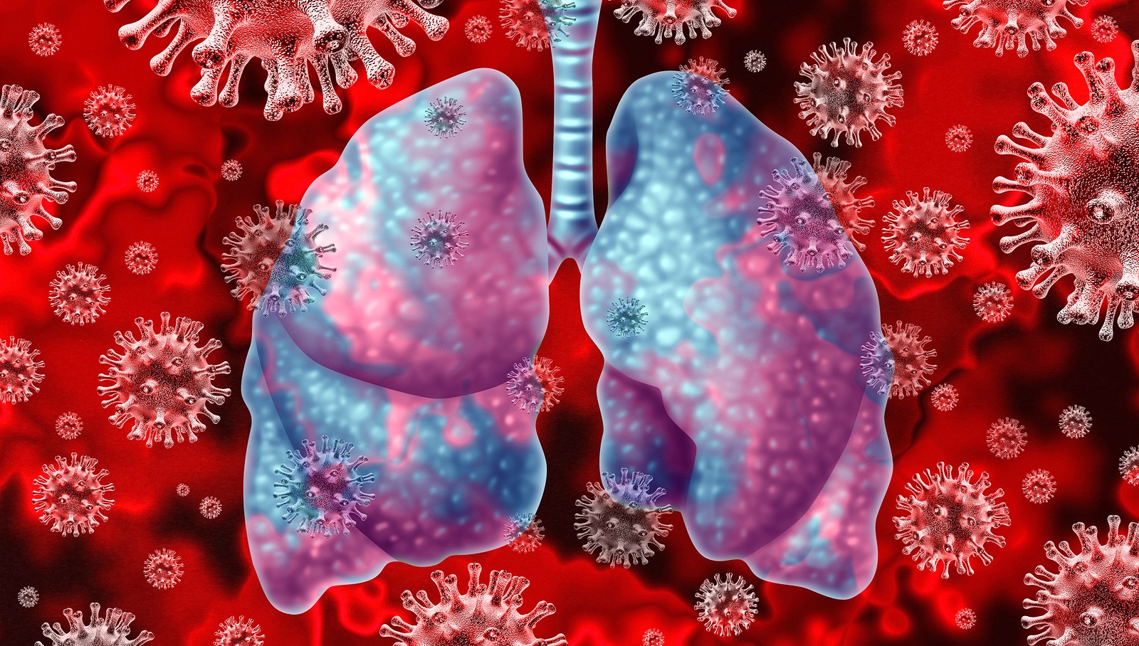 Respiratory virus and coronavirus outbreak and coronaviruses influenza background as dangerous flu strain cases  or SARS as a pandemic medical health risk concept with infected human lungs as a 3D render