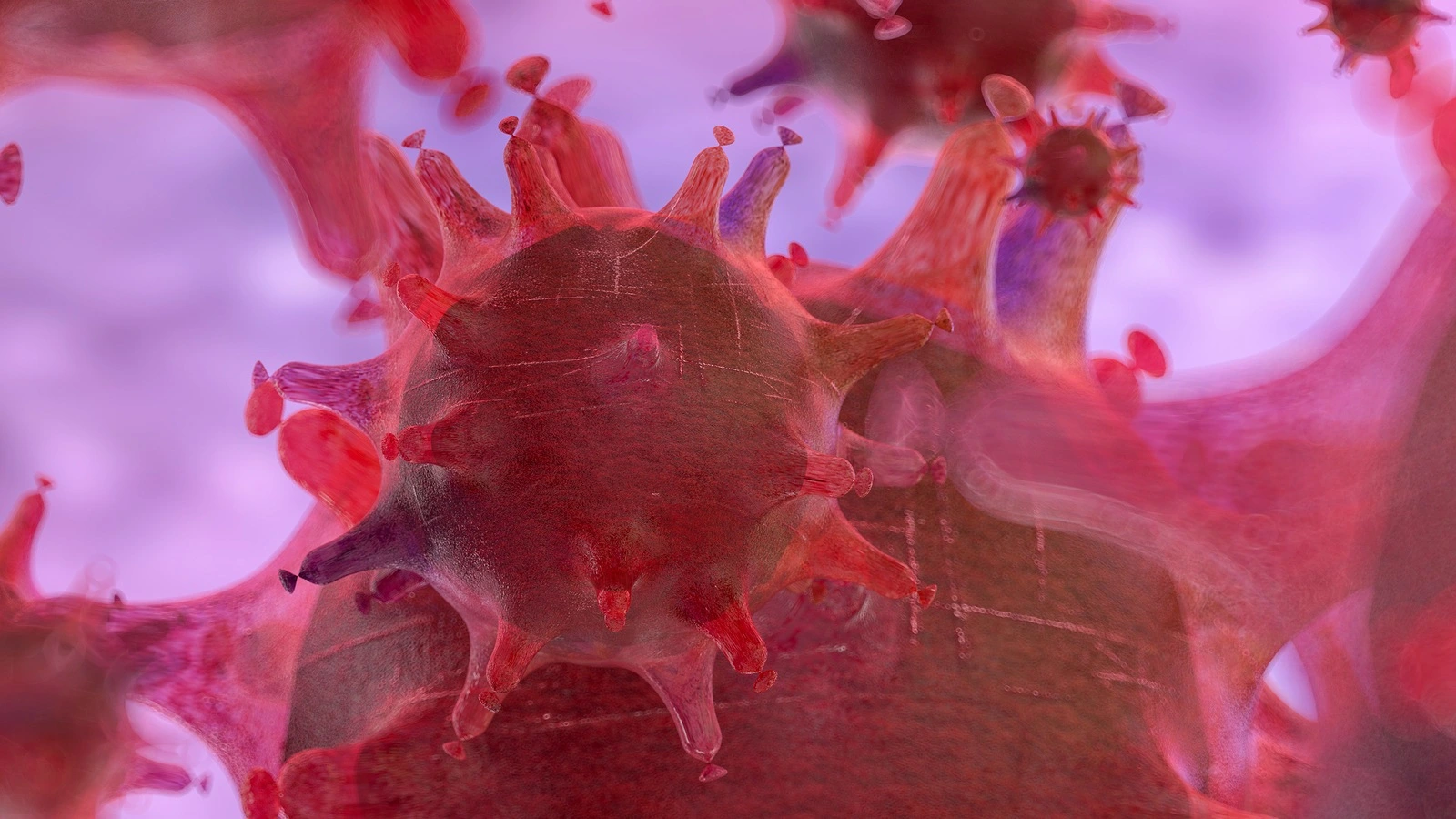 Coronavirus 2019-nCov novel coronavirus concept resposible for asian flu outbreak and coronaviruses influenza as dangerous flu strain cases as a pandemic. Microscope virus close up. 3d rendering