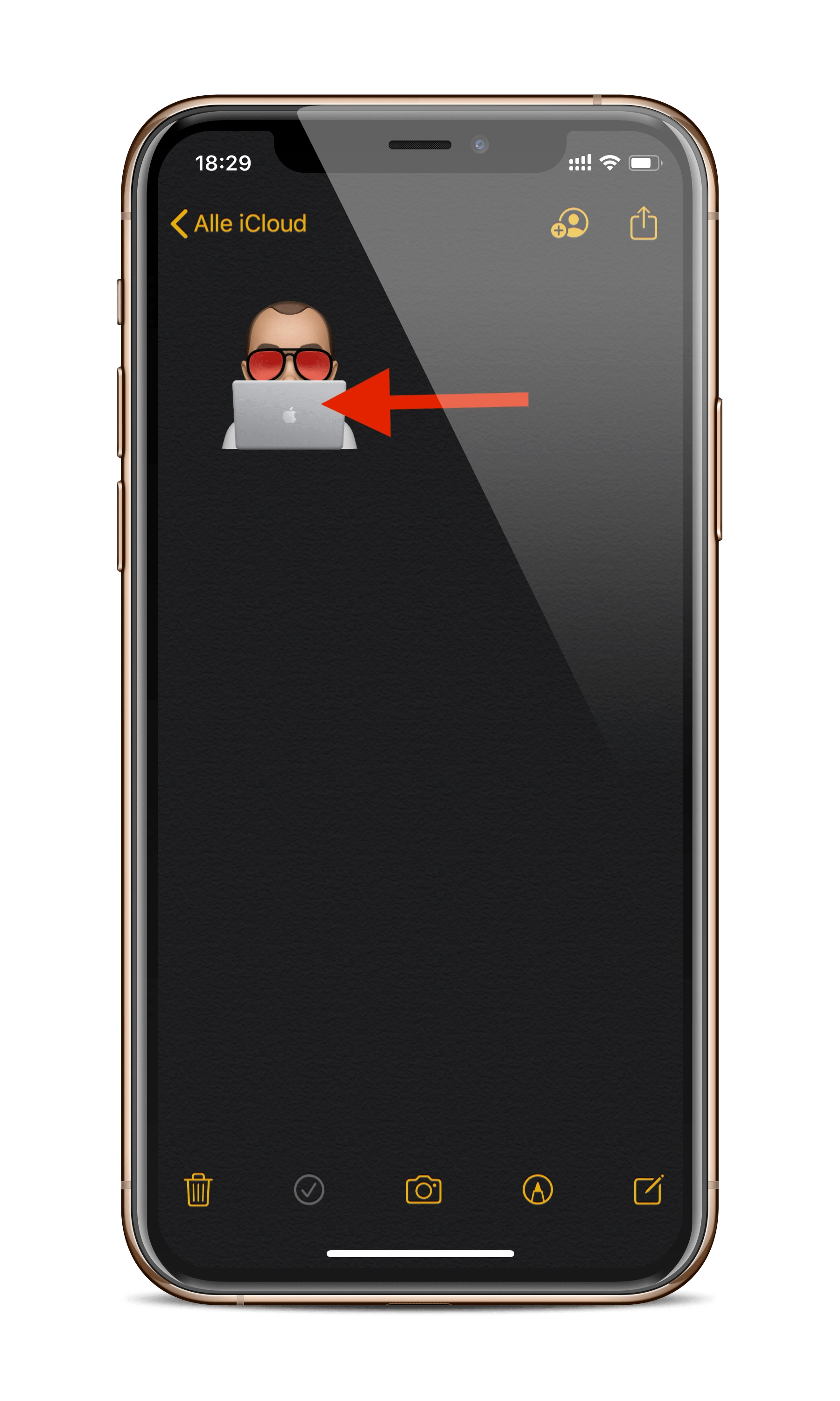 Screenshot: Apfelpatient