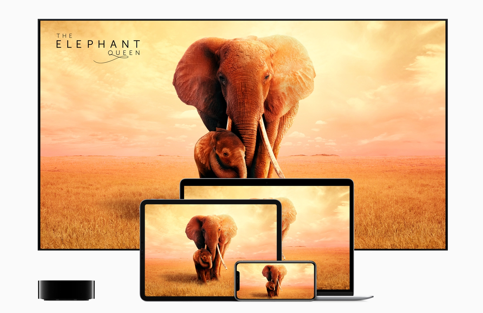 Apple TV+