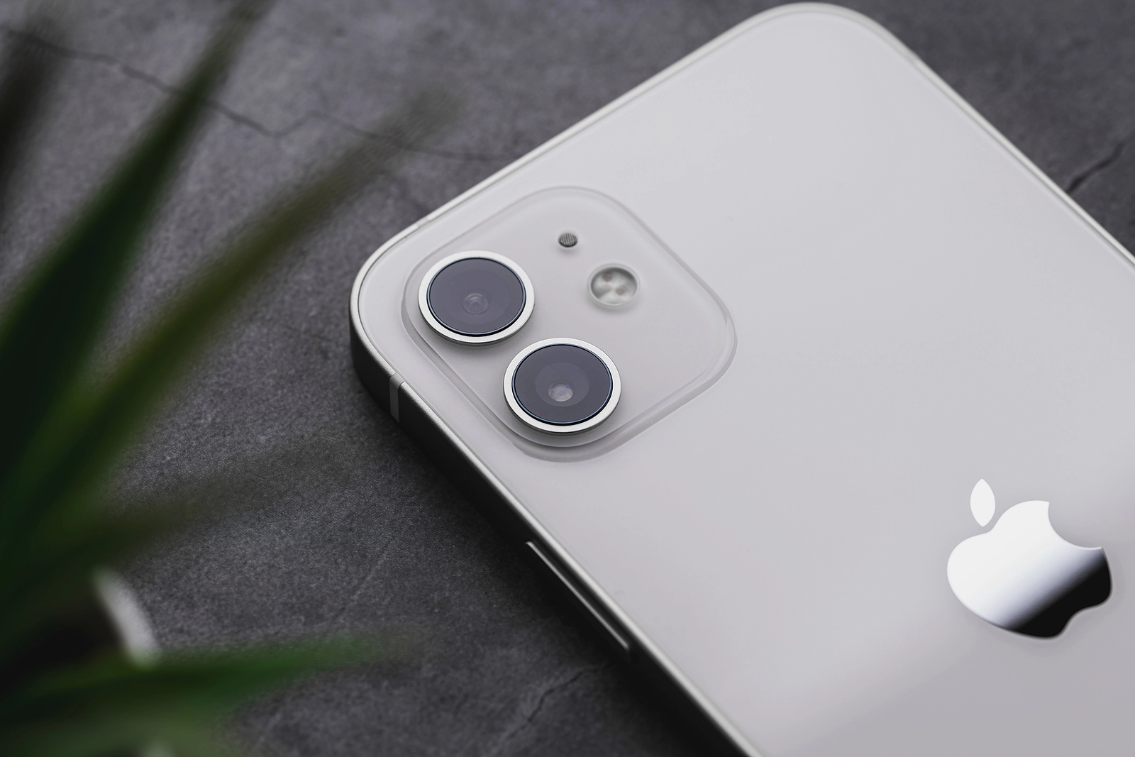 iPhone 12 mini