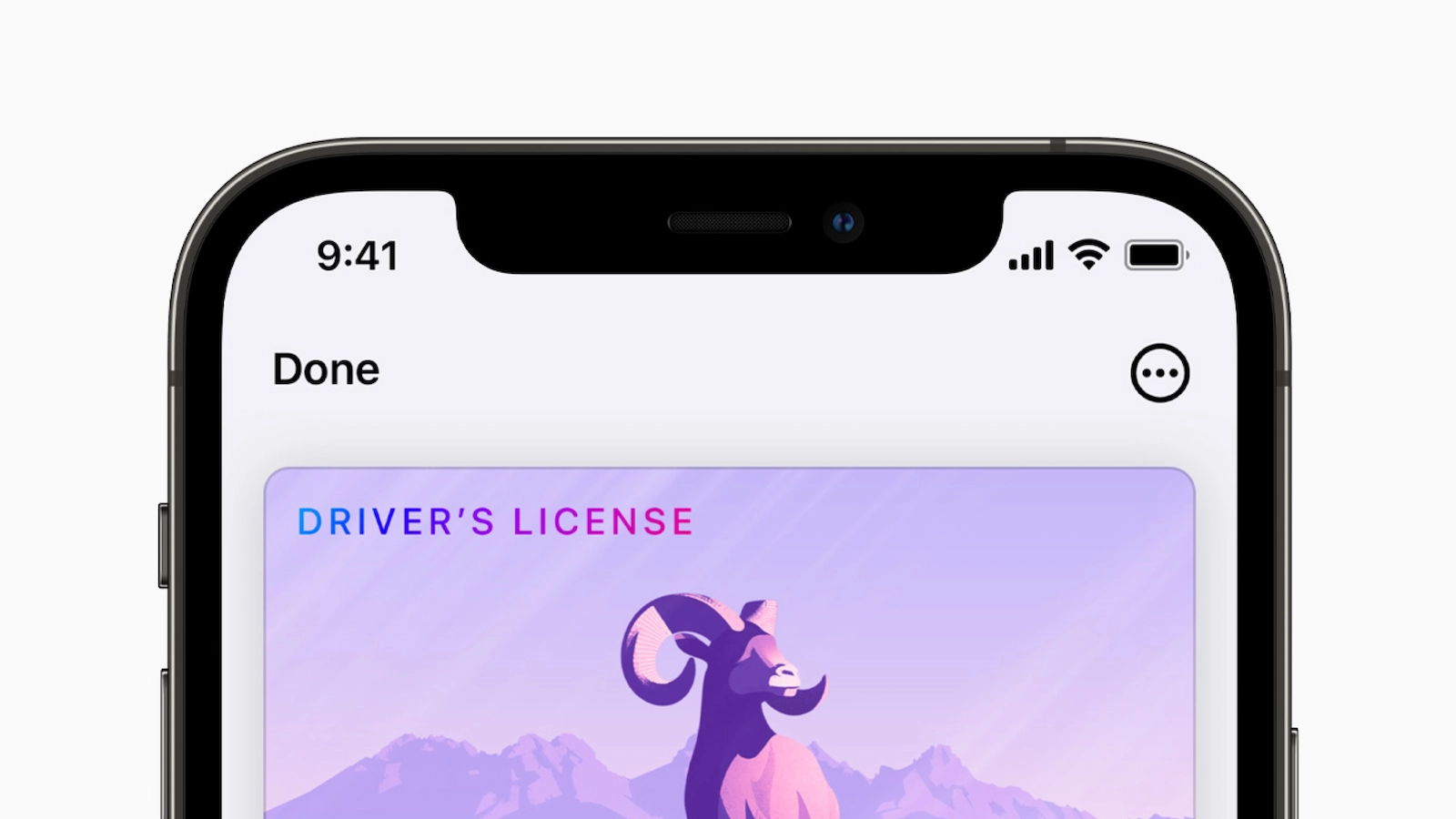 iOS 15 Wallet App