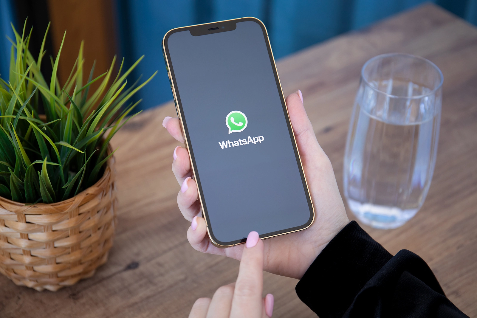WhatsApp Update