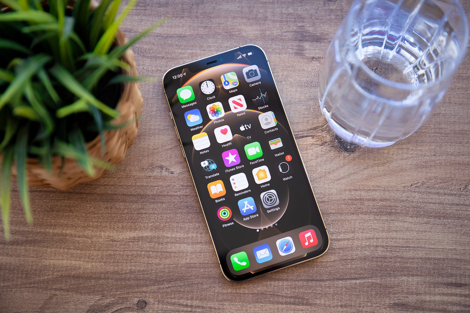 iOS 15.4 Visuelles Nachschlagen