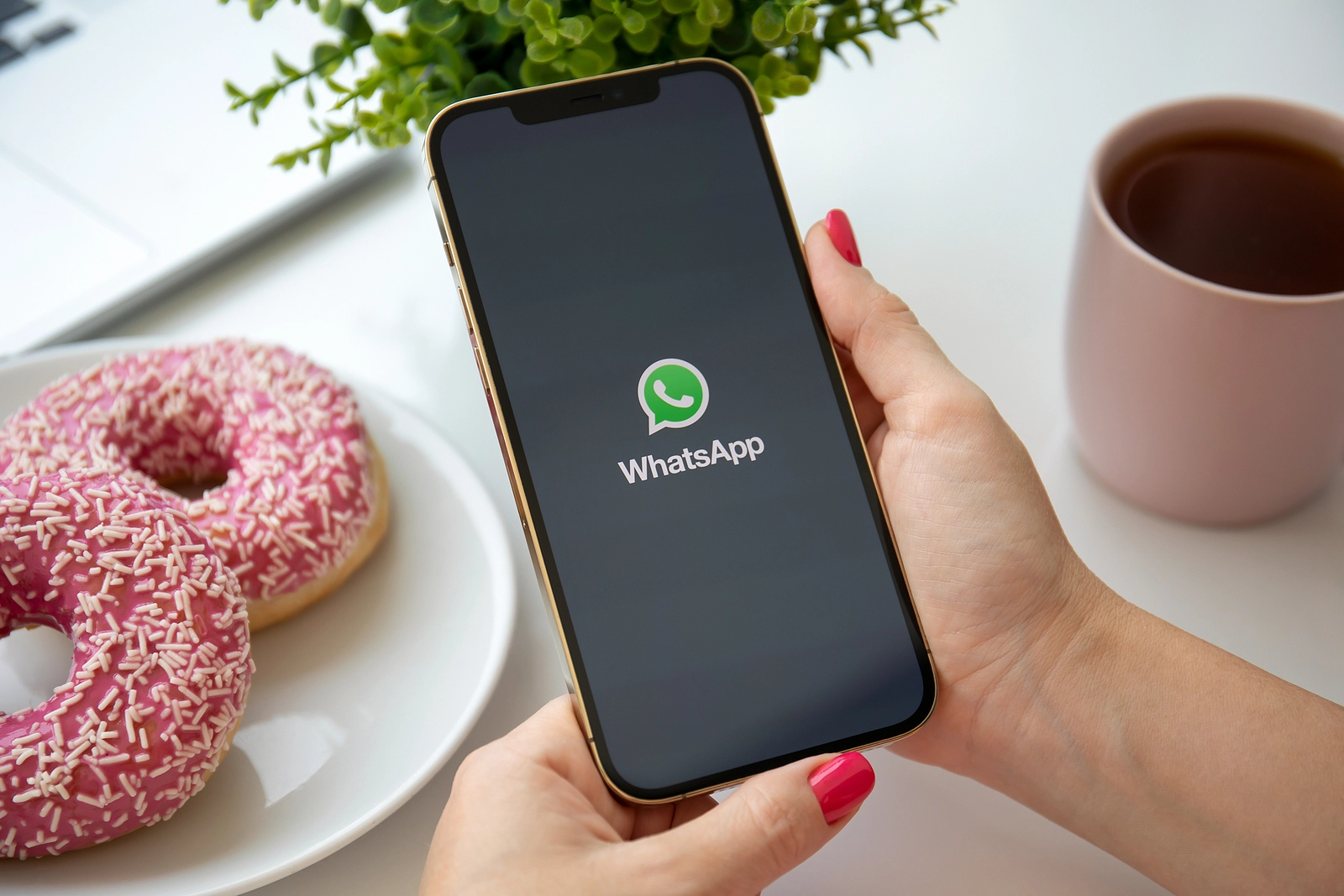 WhatsApp