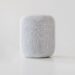 HomePod with LCD display