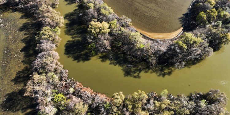 Apple carbon neutral