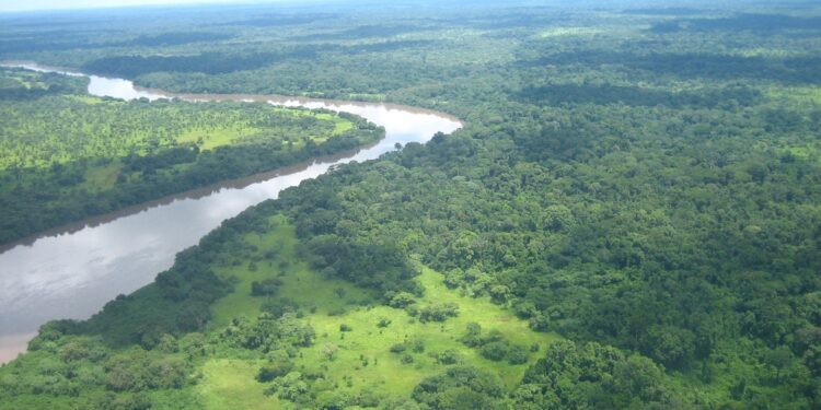 Apple iPhone Congo