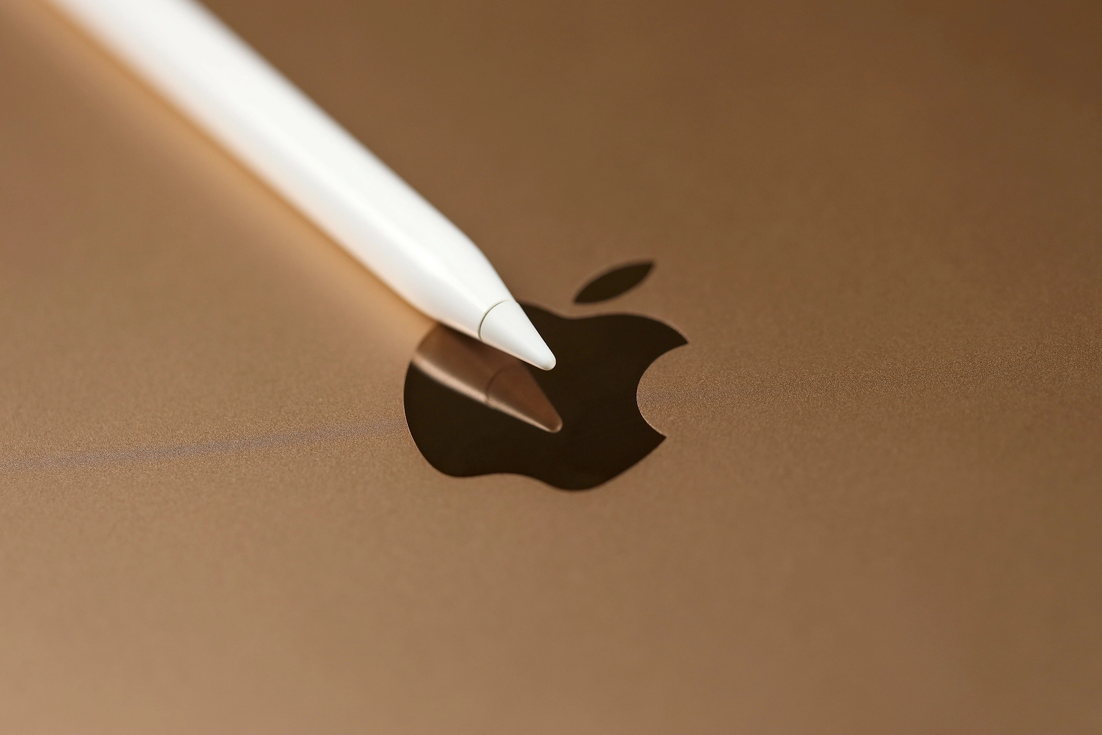 Apple Pencil Pro iPad