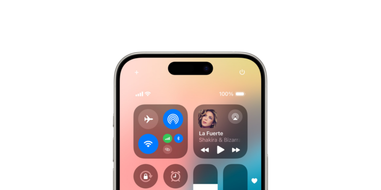 iOS 18 Control Center