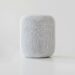HomePod with Apple display