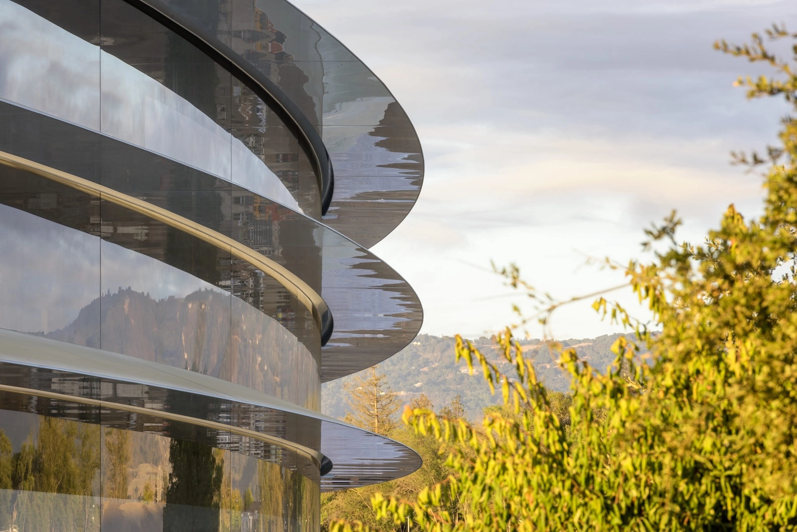 Apple Verwaltungsrat