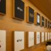 Apple Gesundheit