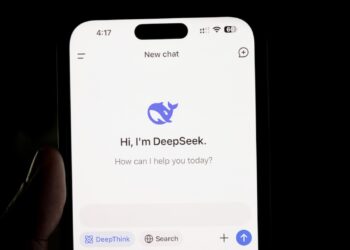 DeepSeek Datenschutz
