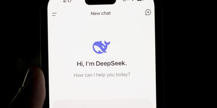 DeepSeek Privacy Policy