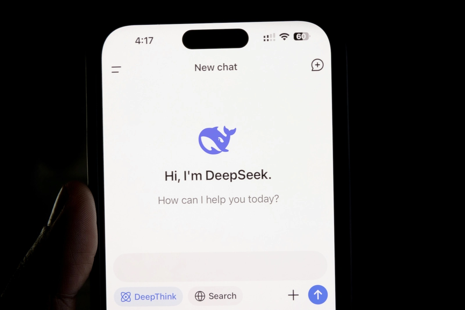 DeepSeek Datenschutz