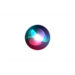 Apple Siri Tim Cook