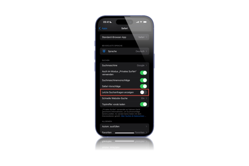 Suchanfragen Safari iOS 18.4