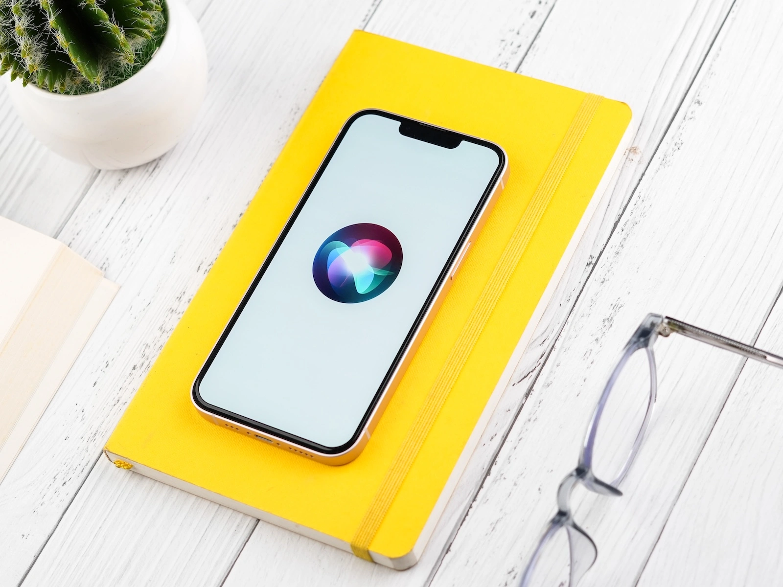 Apple Siri