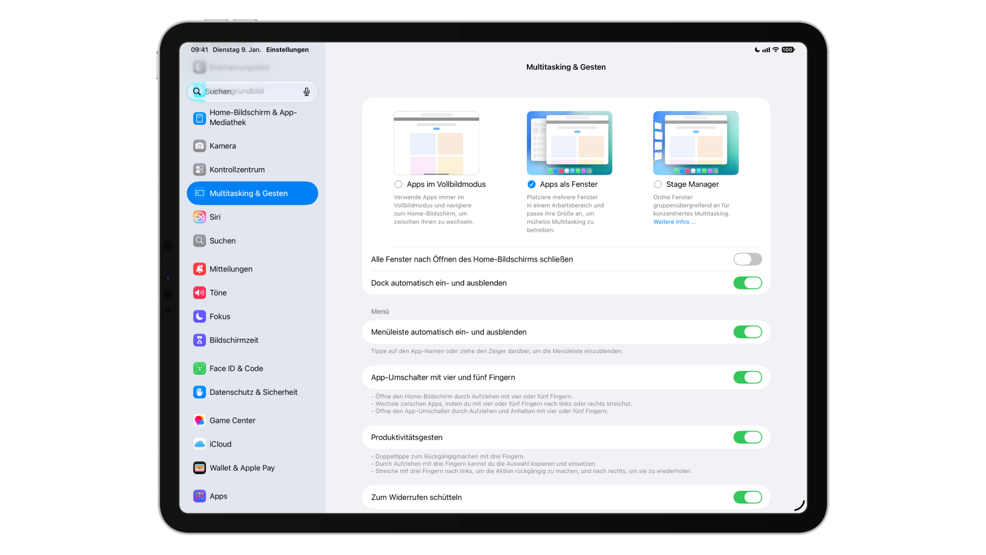 iPad multitasking settings showing the three modes for full screen apps, windowed apps and Stage Manager plus the switches for menu bar and gestures