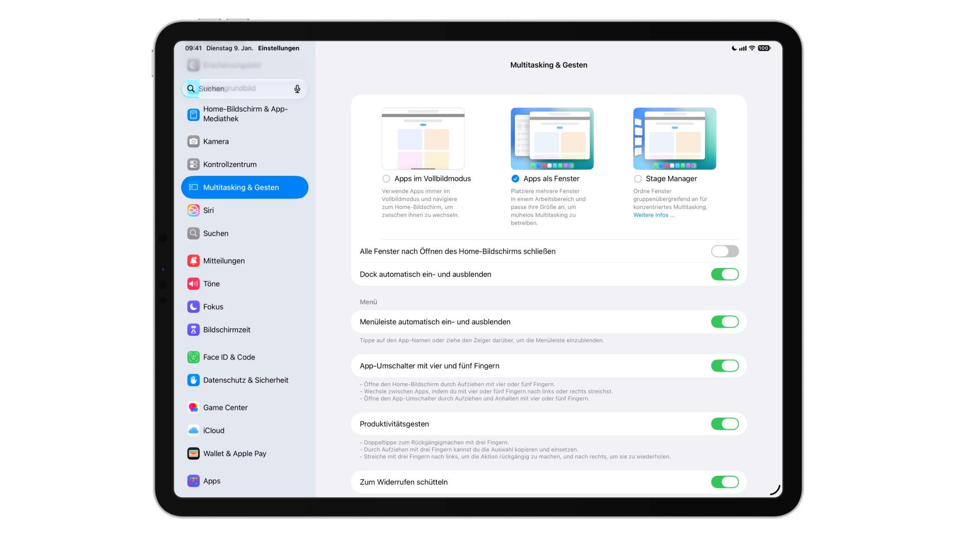 Einstellungen für iPad Multitasking mit den drei Modi Apps im Vollbildmodus, Apps als Fenster und Stage Manager sowie den Schaltern für Menüleiste und Gesten