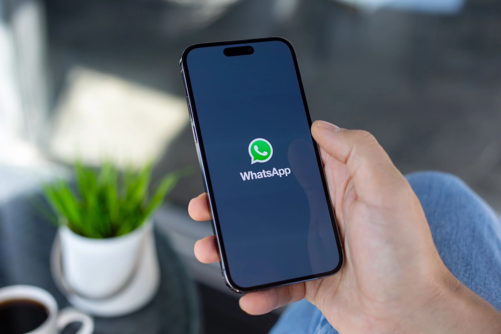 WhatsApp Benutzernamen