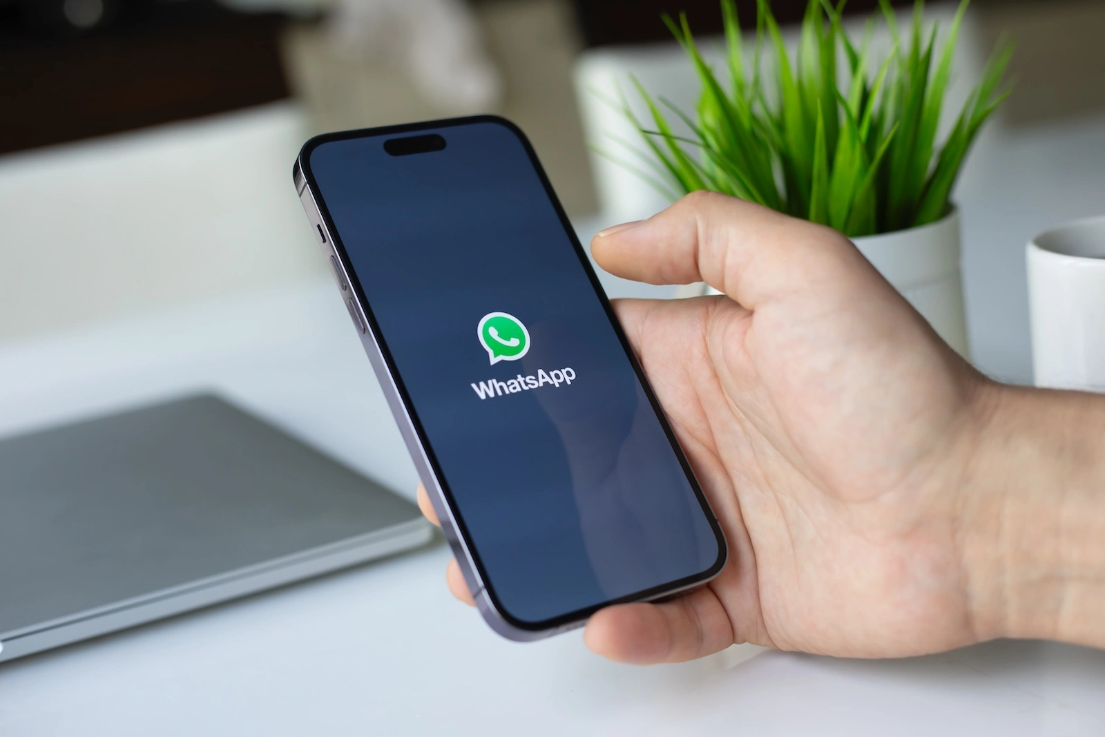 WhatsApp Werbung
