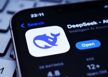 DeepSeek Germany