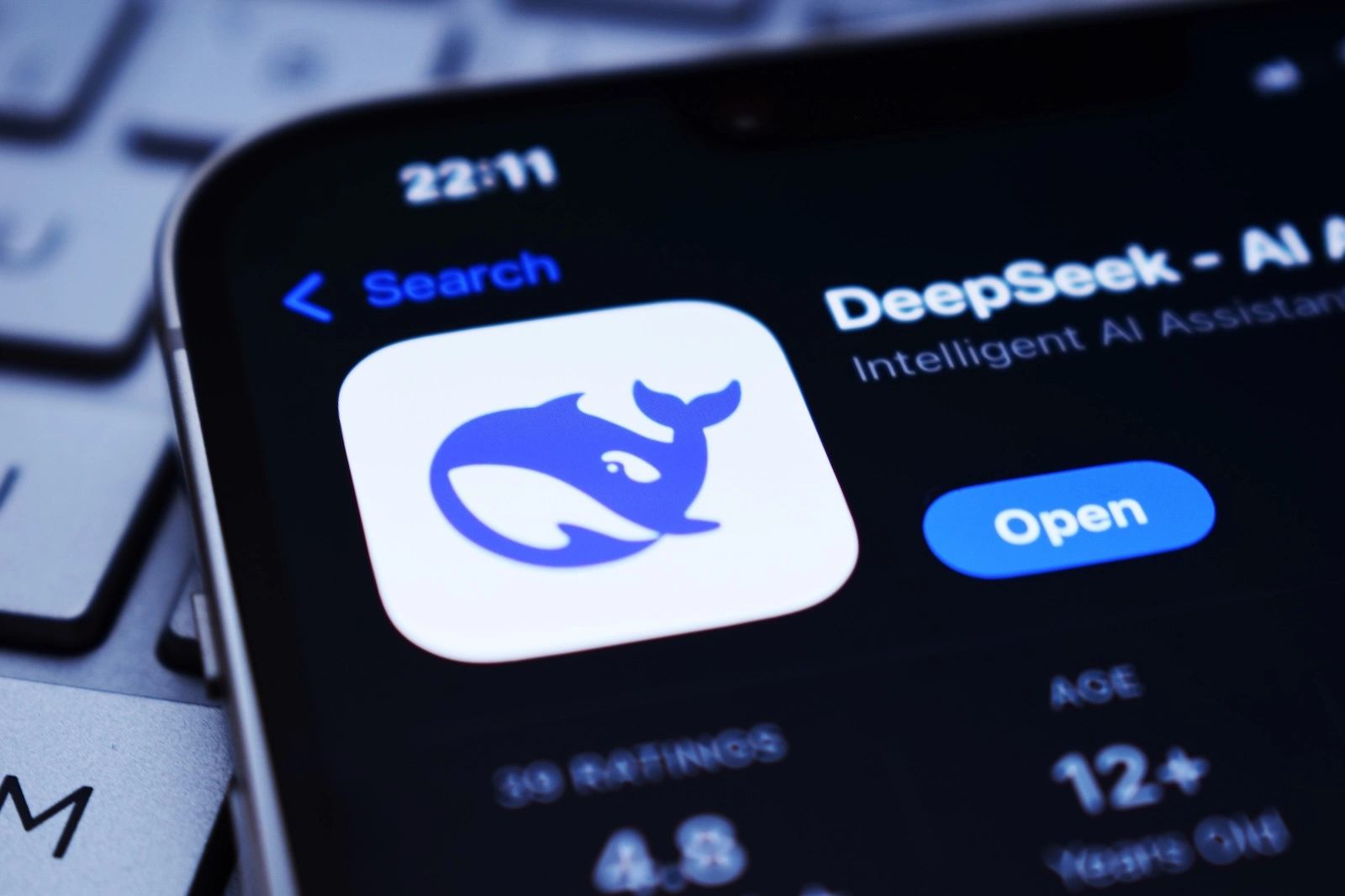DeepSeek Deutschland