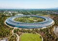 Apple Jeff Williams