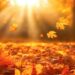 Apple Herbst 2025