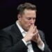 Apple Elon Musk