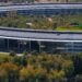 Apple AI