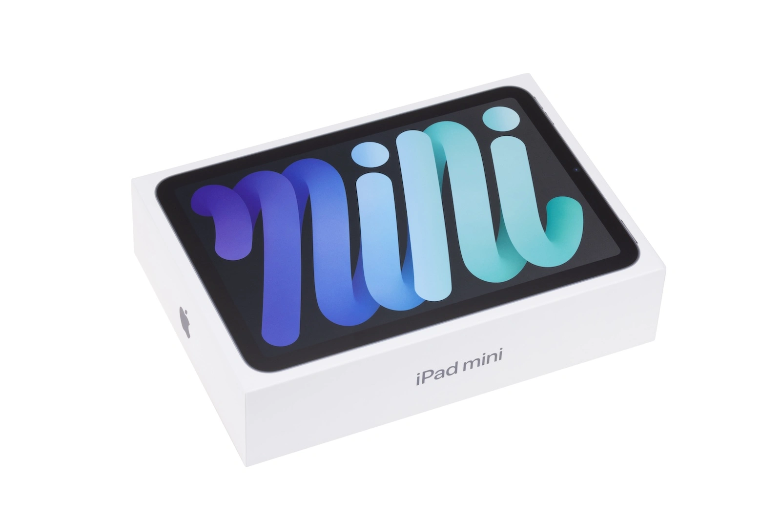 iPad mini Apple