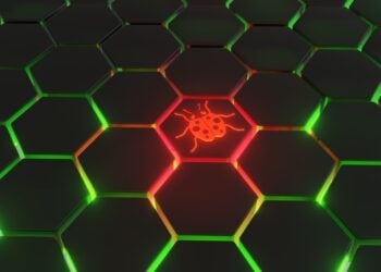Apple Bug Bounty Program