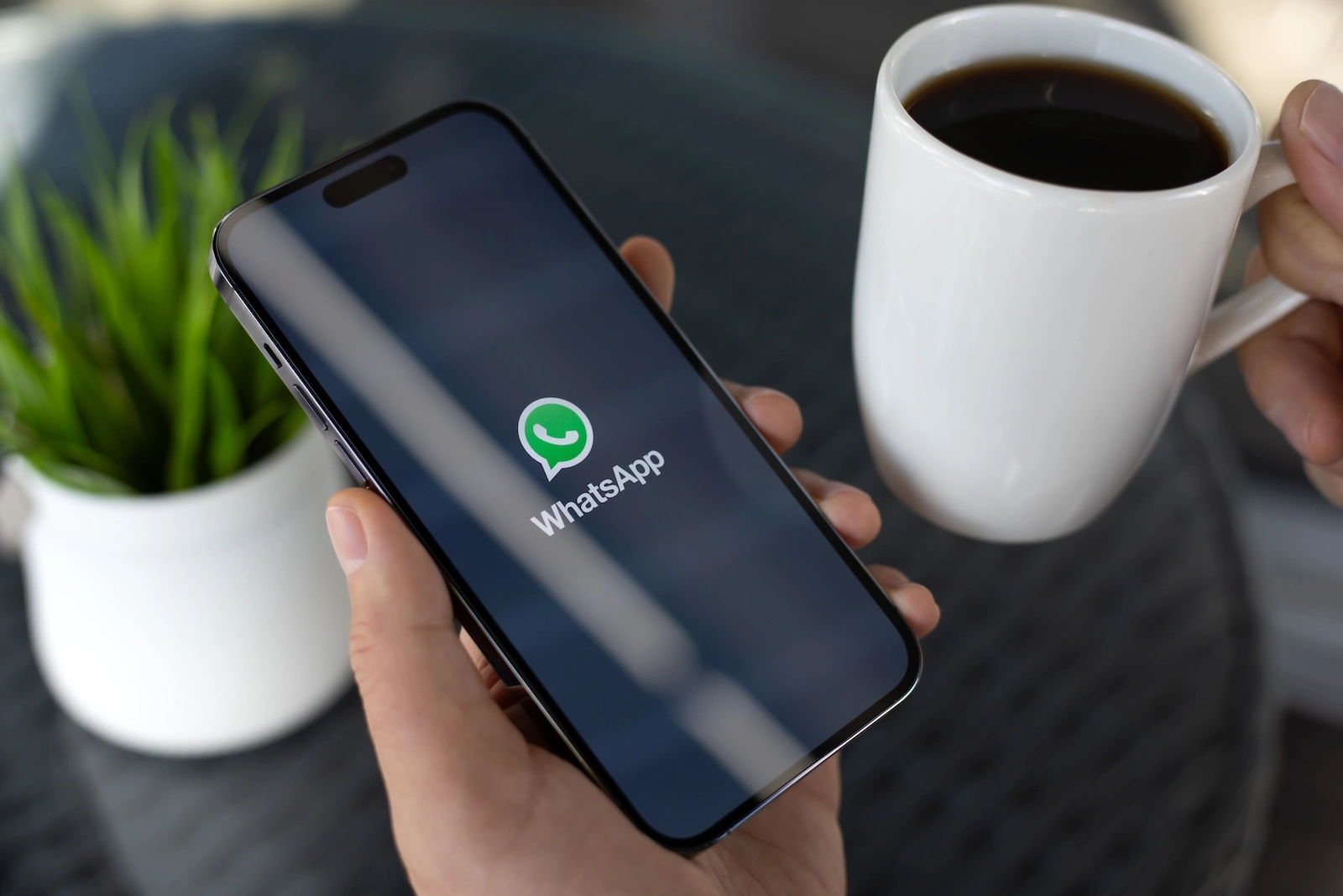 WhatsApp Liquid Glass