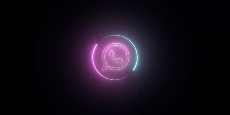 WhatsApp username