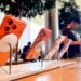 iPhone 17 Apple Store
