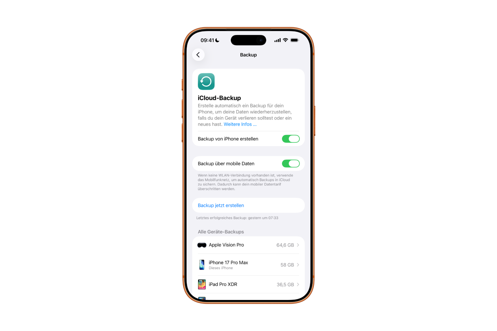 iPhone iPad Backup
