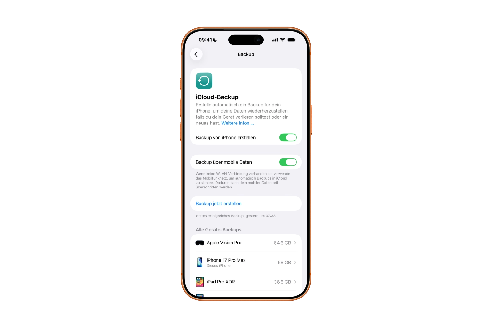 iPhone iPad Backup