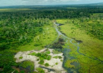 Apple Konfliktmineralien