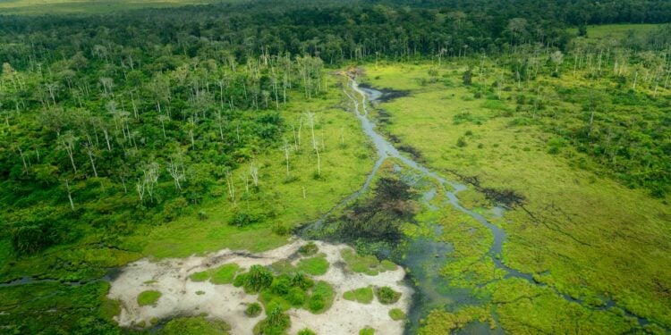 Apple Konfliktmineralien