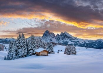 Apple TV December 2025 Highlights