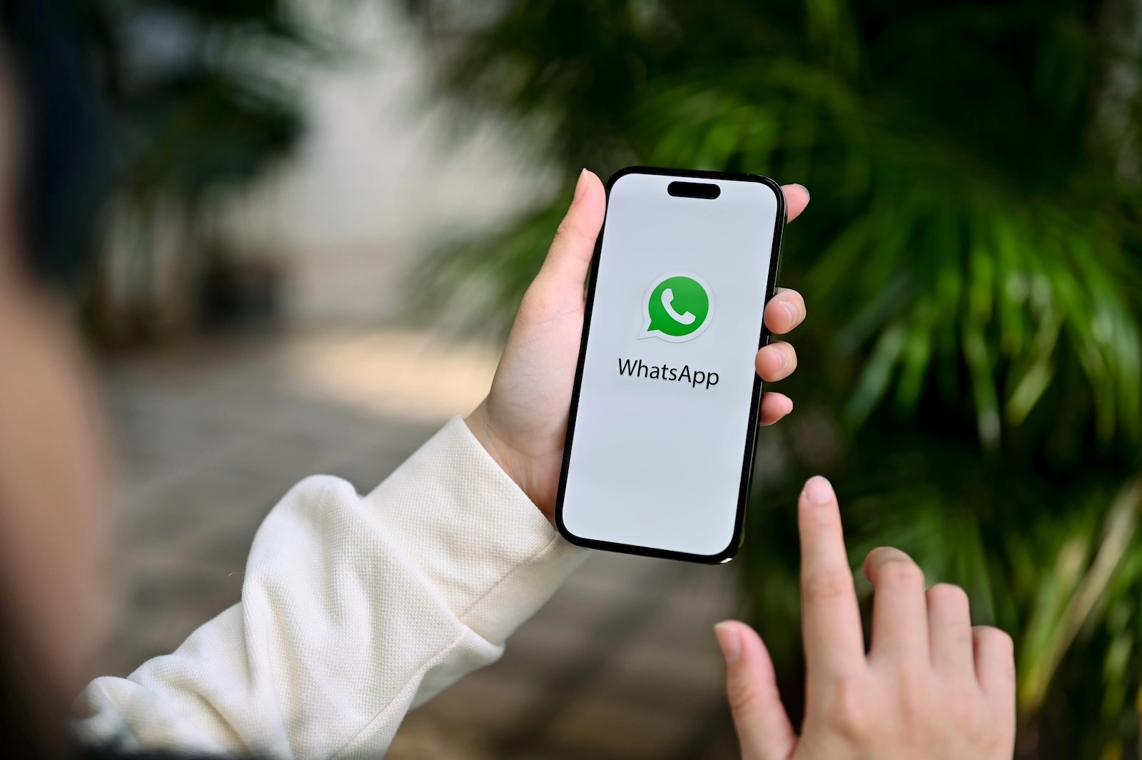 WhatsApp geplante Nachrichten