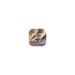 iOS 27 Apple