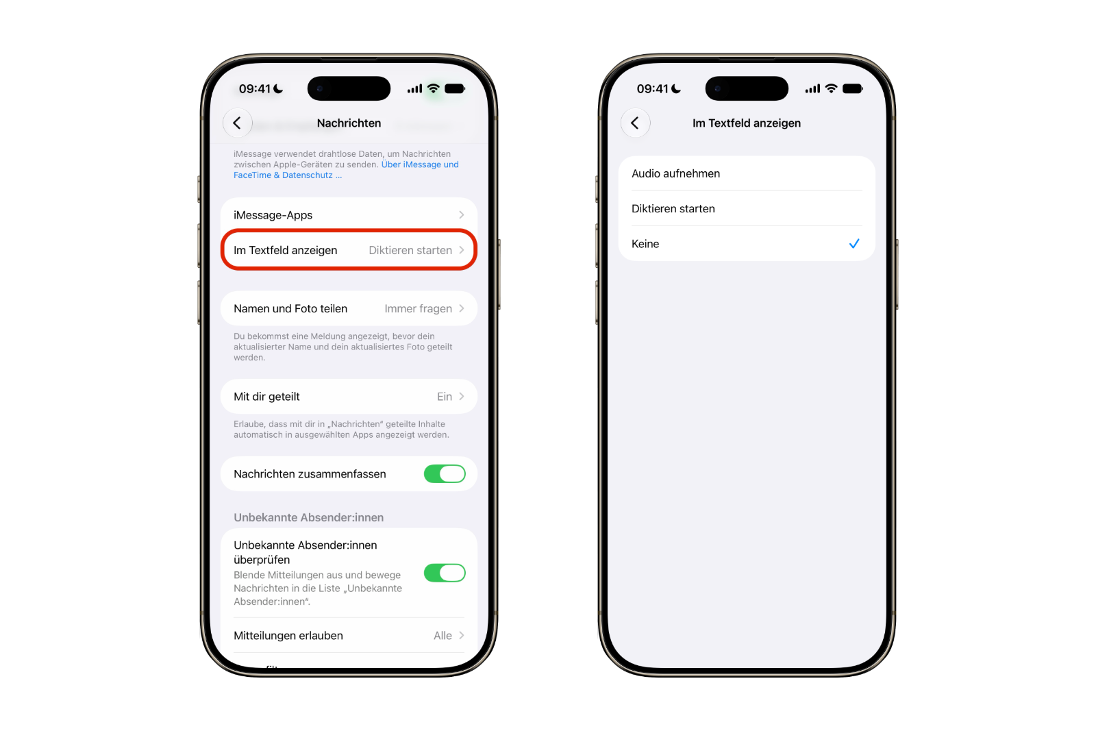 iOS 27 Audio- und Diktat-Symbol ausblenden