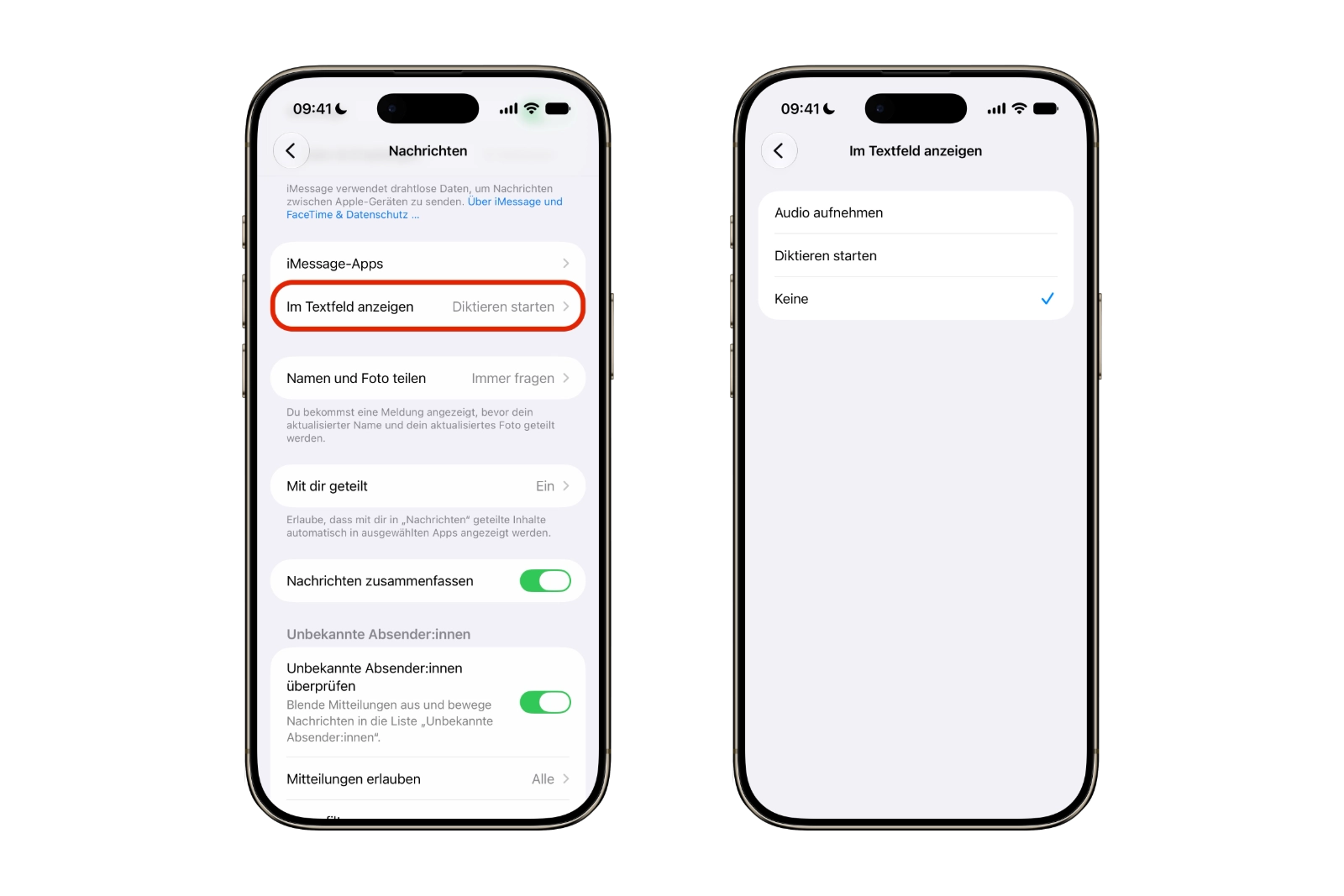iOS 27 Audio- und Diktat-Symbol ausblenden