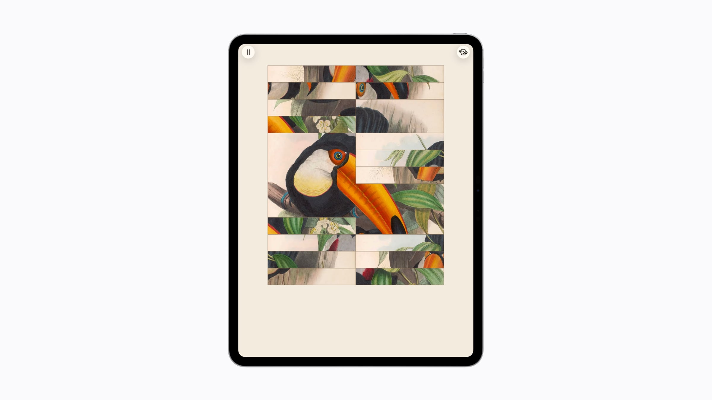 Toucan illustration as a puzzle in Art of Fauna on an iPad Pro, coming to Apple Arcade in September