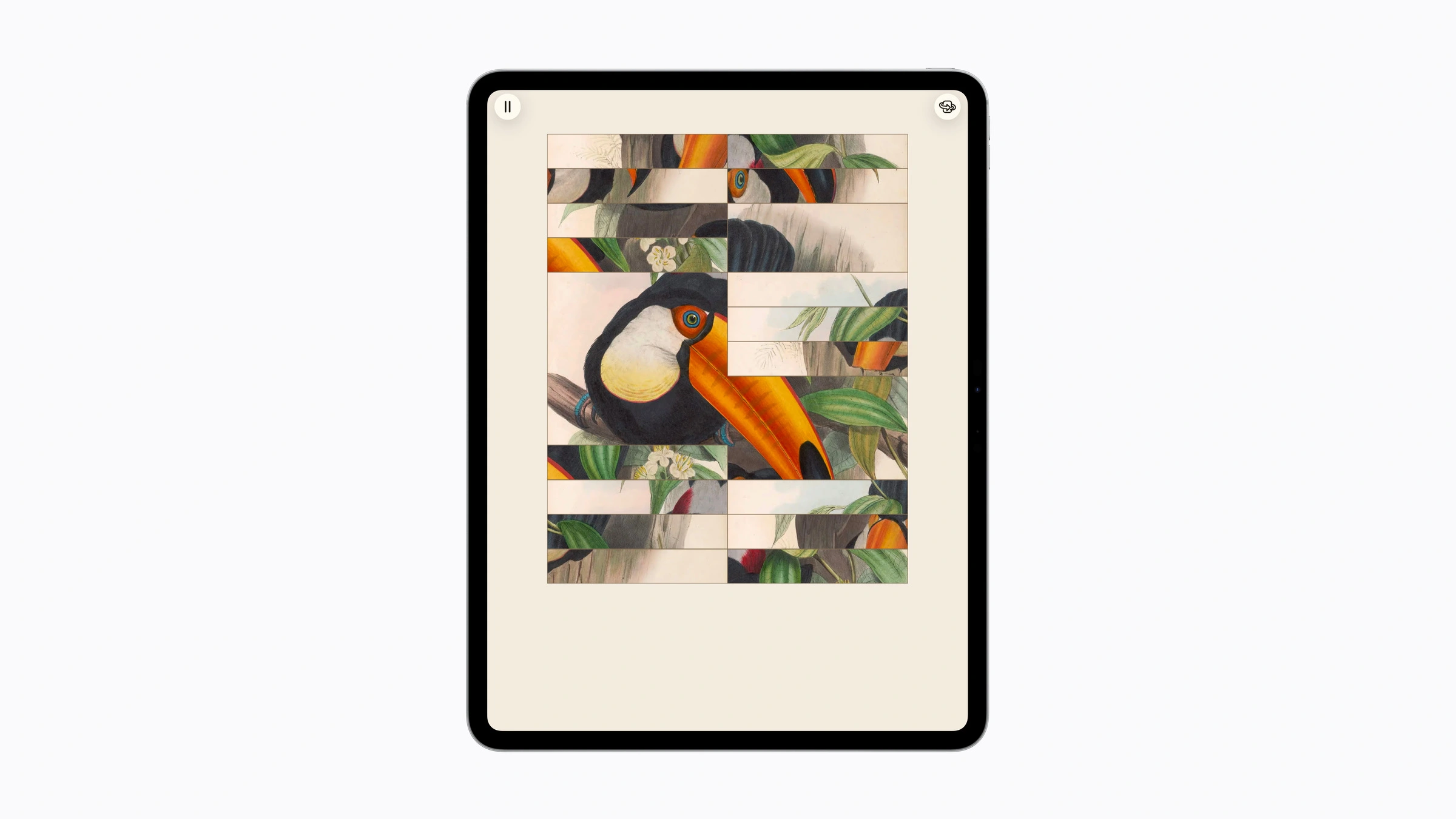 Tukan-Illustration als Puzzle in Art of Fauna auf einem iPad Pro, das im September zu Apple Arcade kommt